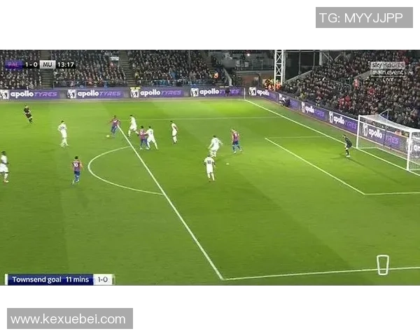 足球明星带宠物散步 展现运动员亲民一面与生活趣味